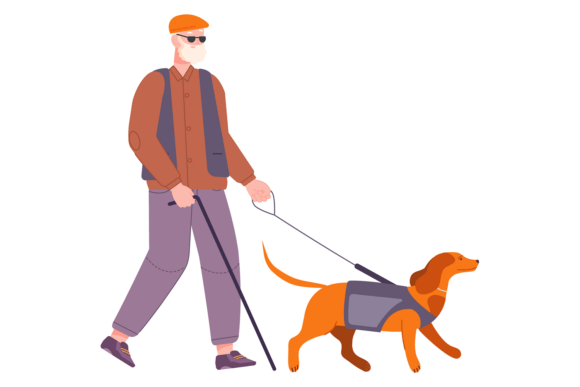 Blind Old Man Walking with Guide Dog. Su